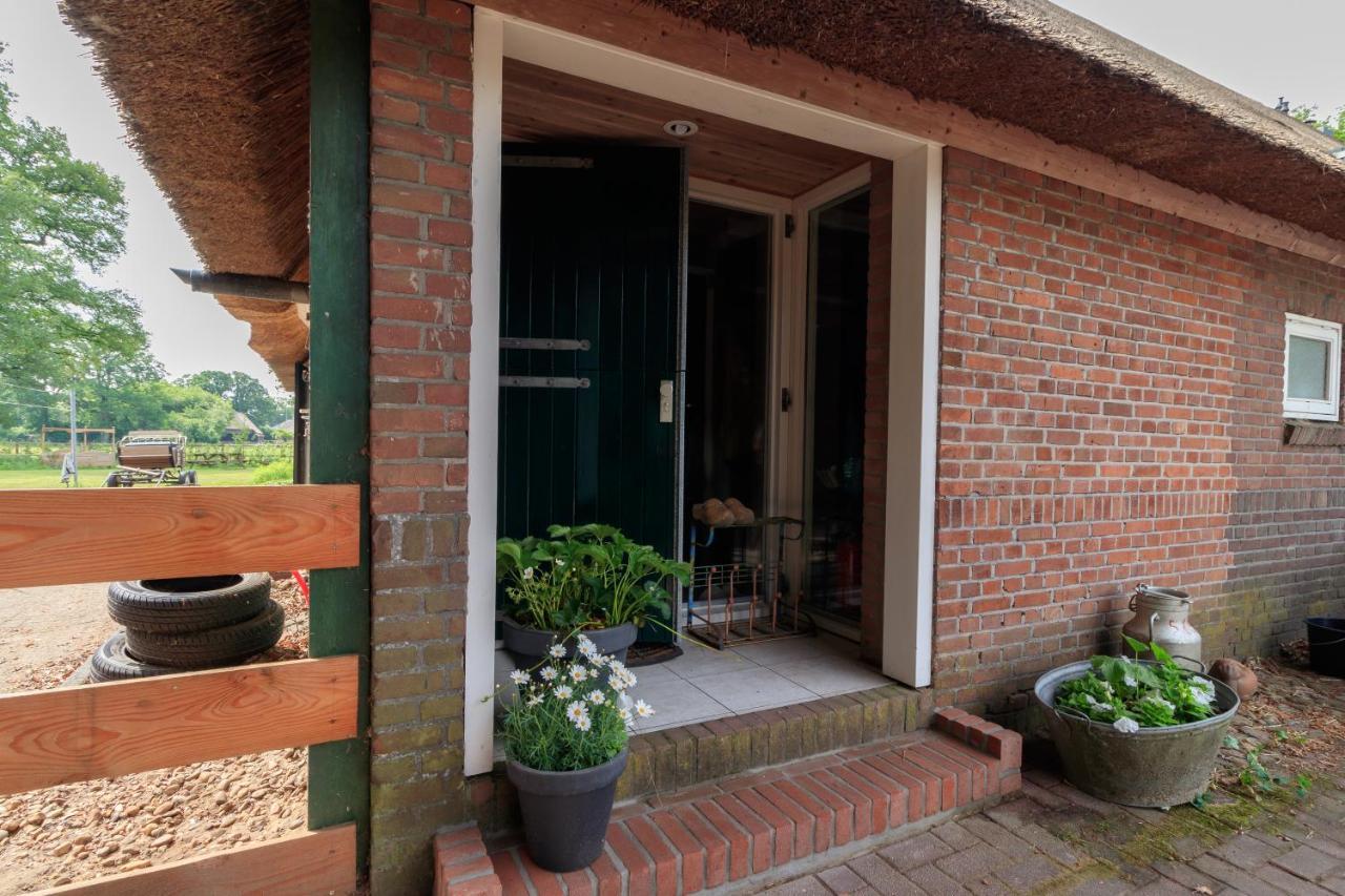 Het Grote Paard Apartment Havelte ภายนอก รูปภาพ